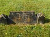 image of grave number 218279